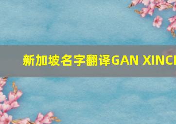 新加坡名字翻译GAN XINCI